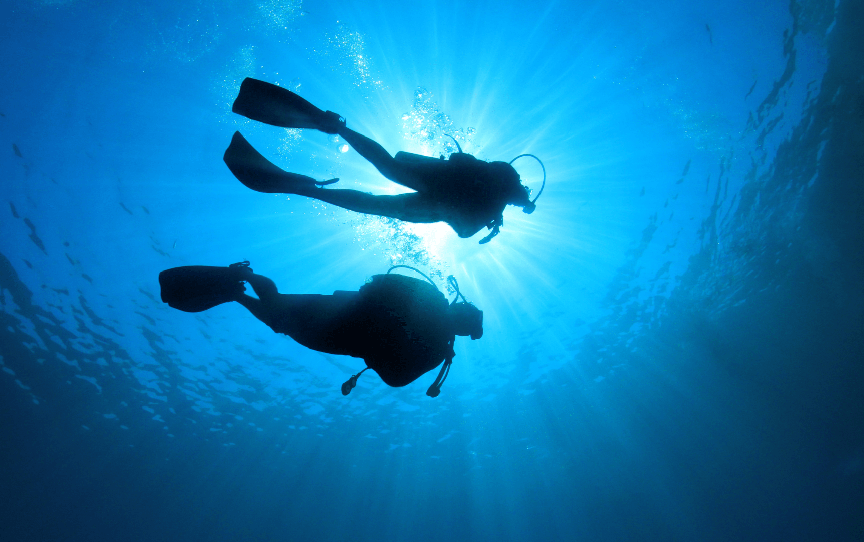 deux plongeurs vu de dessous